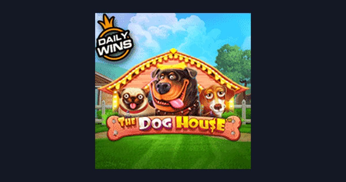Raih Peluang Menang dengan Info RTP Live Tertinggi di The Dog House